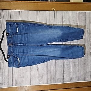 Lane Bryant High Rise Skinny Jeans